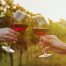 Achat de vin directeur producteur vignoble